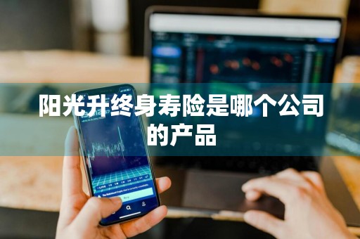 阳光升终身寿险是哪个公司的产品