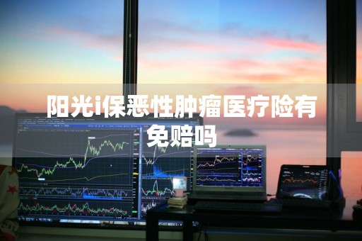 阳光i保恶性肿瘤医疗险有免赔吗