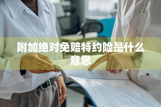 附加绝对免赔特约险是什么意思