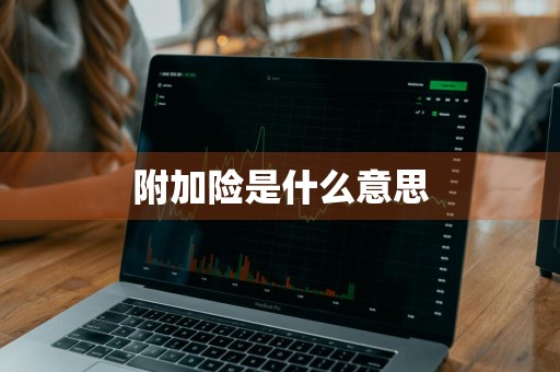 附加险是什么意思