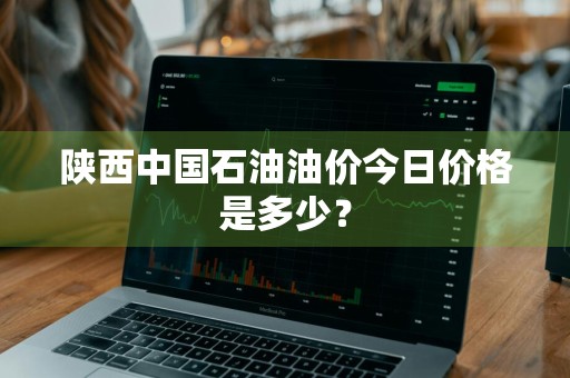 陕西中国石油油价今日价格是多少？