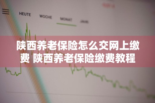 陕西养老保险怎么交网上缴费 陕西养老保险缴费教程