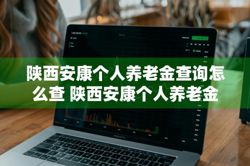 陕西安康个人养老金查询怎么查 陕西安康个人养老金查询怎么查不到