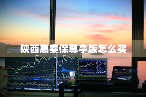 陕西惠秦保尊享版怎么买
