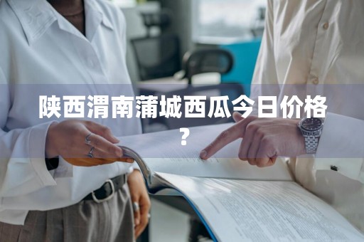 陕西渭南蒲城西瓜今日价格？