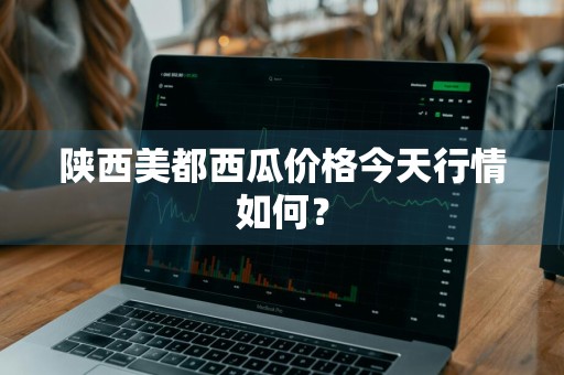 陕西美都西瓜价格今天行情如何？