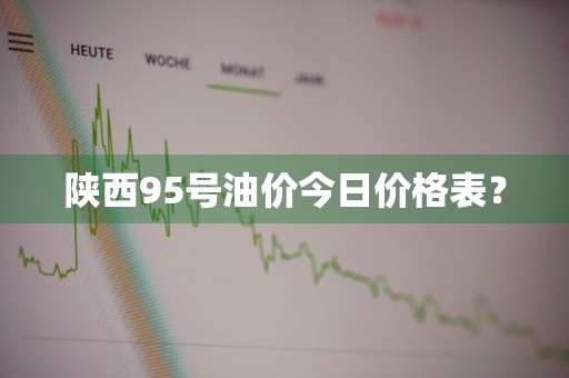 陕西95号油价今日价格表？