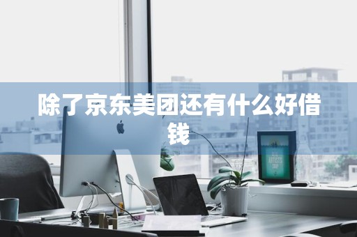 除了京东美团还有什么好借钱