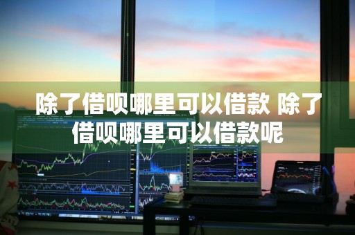 除了借呗哪里可以借款 除了借呗哪里可以借款呢