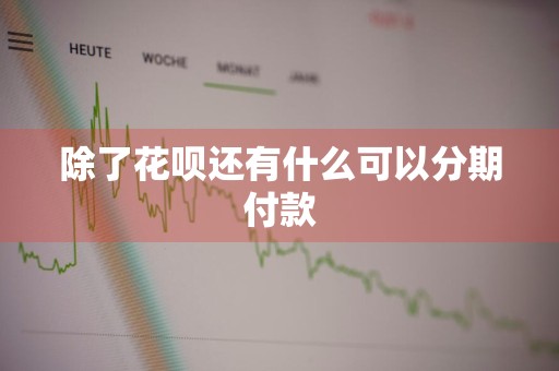 除了花呗还有什么可以分期付款
