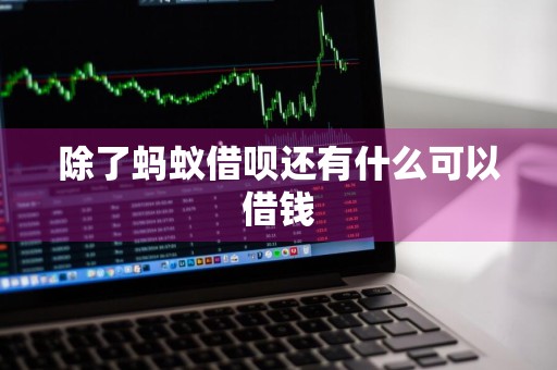 除了蚂蚁借呗还有什么可以借钱