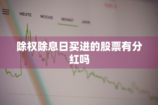 除权除息日买进的股票有分红吗