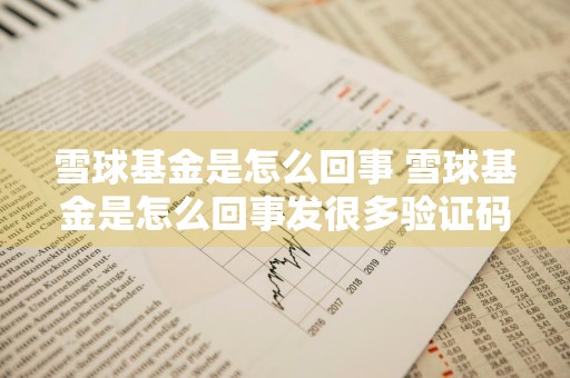 雪球基金是怎么回事 雪球基金是怎么回事发很多验证码