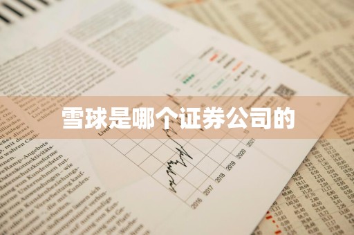 雪球是哪个证券公司的