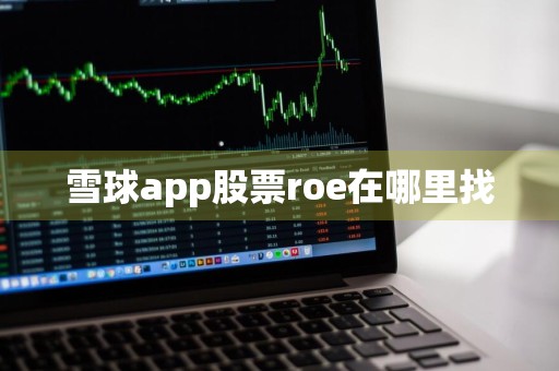 雪球app股票roe在哪里找