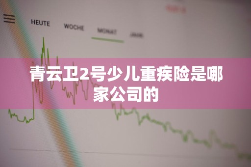 青云卫2号少儿重疾险是哪家公司的