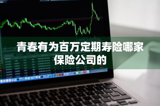 青春有为百万定期寿险哪家保险公司的