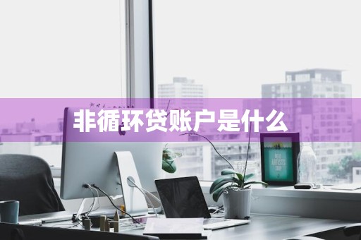 非循环贷账户是什么