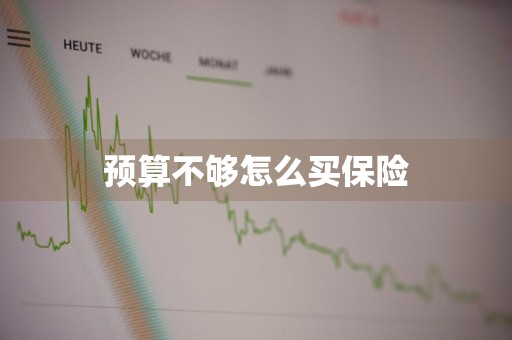 预算不够怎么买保险