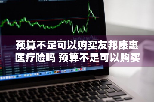预算不足可以购买友邦康惠医疗险吗 预算不足可以购买友邦康惠医疗险吗