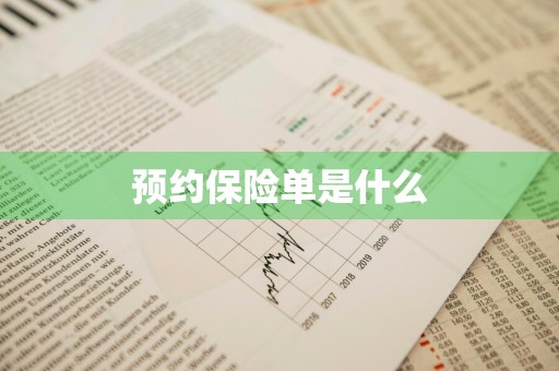 预约保险单是什么