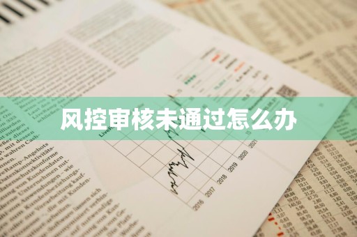 风控审核未通过怎么办