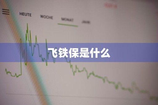 飞铁保是什么
