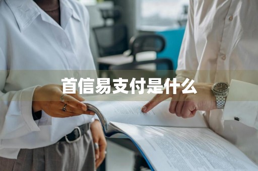 首信易支付是什么