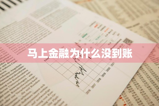 马上金融为什么没到账