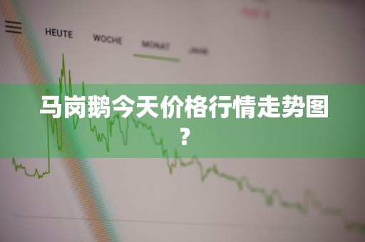 马岗鹅今天价格行情走势图？