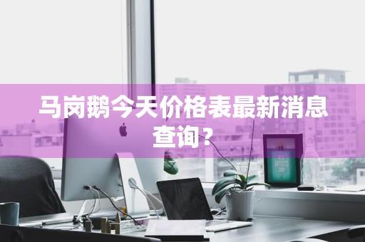 马岗鹅今天价格表最新消息查询？