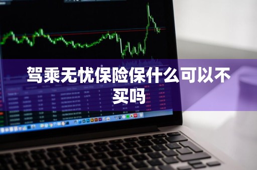 驾乘无忧保险保什么可以不买吗