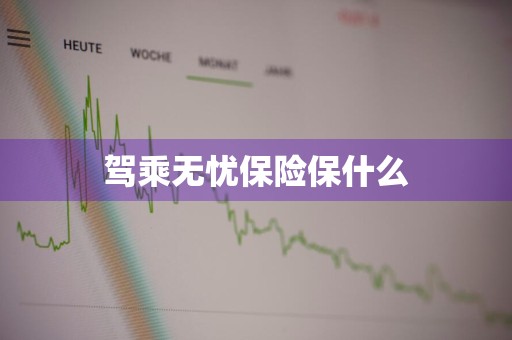 驾乘无忧保险保什么