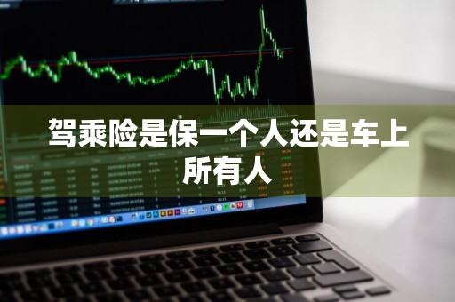 驾乘险是保一个人还是车上所有人