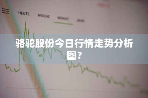 骆驼股份今日行情走势分析图？