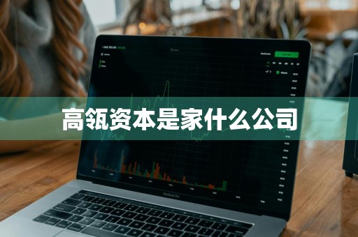 高瓴资本是家什么公司