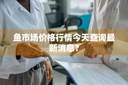 鱼市场价格行情今天查询最新消息？