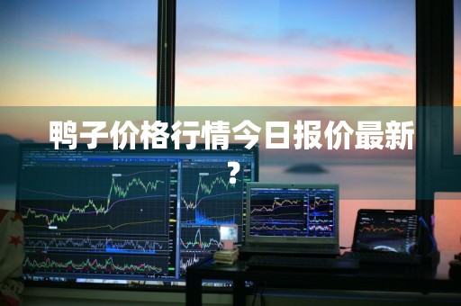 鸭子价格行情今日报价最新？