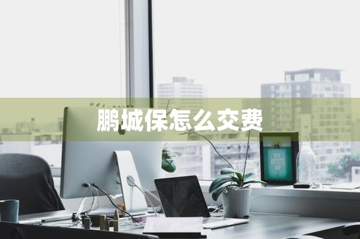 鹏城保怎么交费