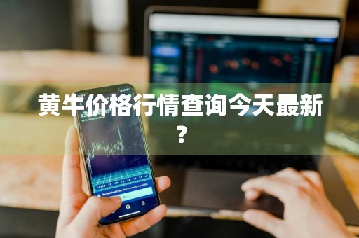 黄牛价格行情查询今天最新?
