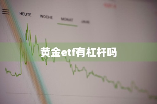 黄金etf有杠杆吗