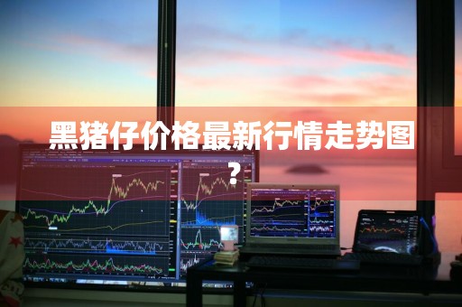 黑猪仔价格最新行情走势图？