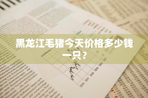 黑龙江毛猪今天价格多少钱一只？