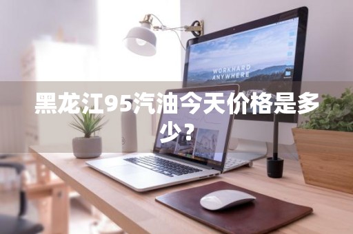 黑龙江95汽油今天价格是多少？