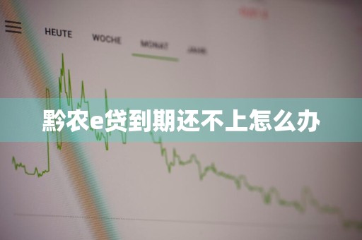 黔农e贷到期还不上怎么办