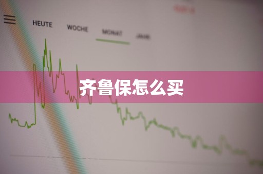 齐鲁保怎么买