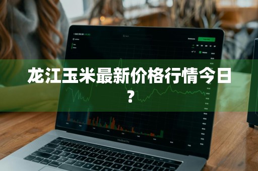 龙江玉米最新价格行情今日？