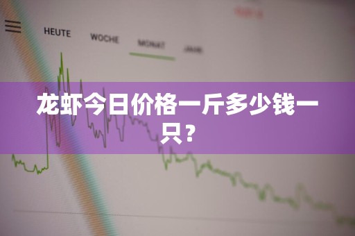 龙虾今日价格一斤多少钱一只？