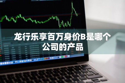 龙行乐享百万身价B是哪个公司的产品