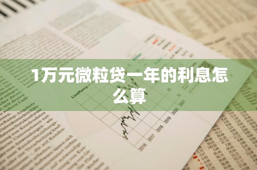 1万元微粒贷一年的利息怎么算